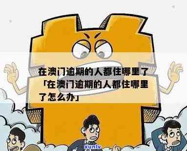 逾期10天在会面临什么后果？