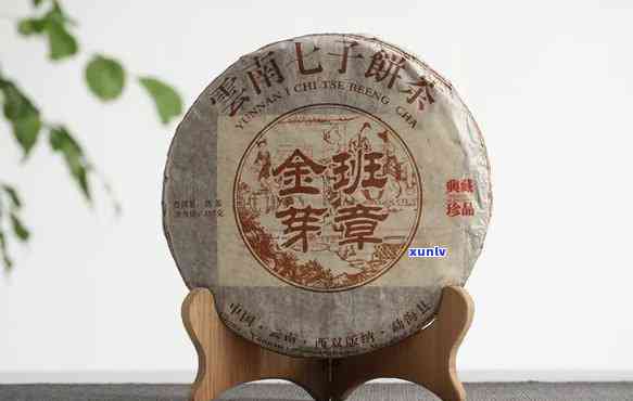 老班章古树金芽十年珍藏357克茶品解析：班章金芽含义与老茶头升级