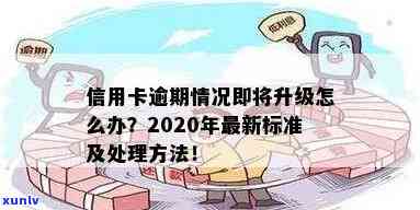 新信用卡逾期条款解析：处理方式与2020年最新标准