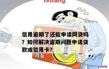 网贷逾期可以办什么信用卡：选择与申请指南