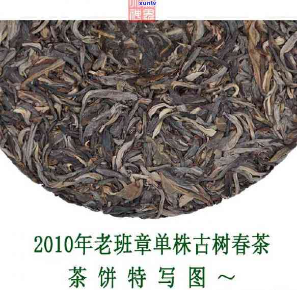 单株老班章2016