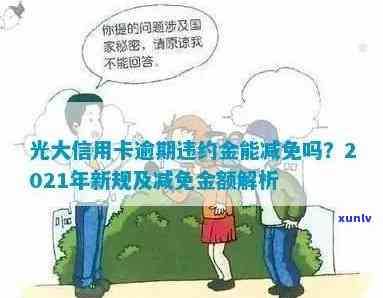 普洱茶第二次泡水