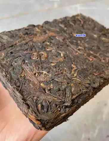 探寻勐海老班章2002茶砖的独特魅力