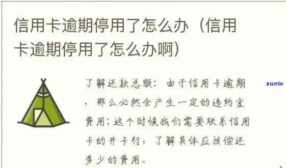 信用卡逾期被暂时停用后如何处理及激活