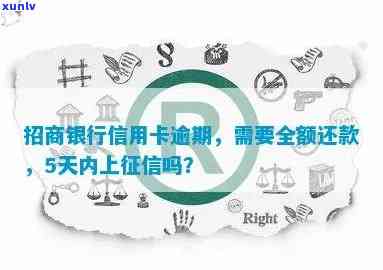 招商银行信用卡逾期5天上吗？应对措