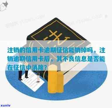 探究中介是否具备注销信用卡的权限与能力