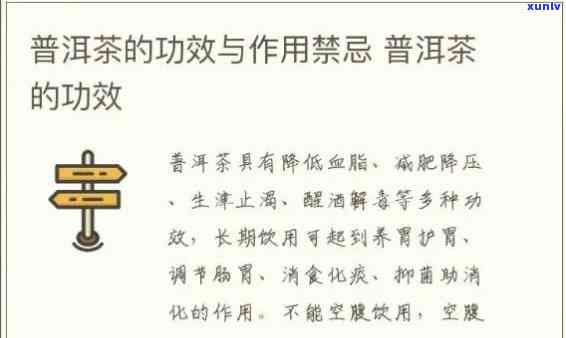 深入了解普洱茶的功效与禁忌症，喝出健生活