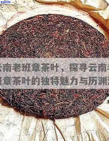 老班章：一部普洱茶的崛起传奇