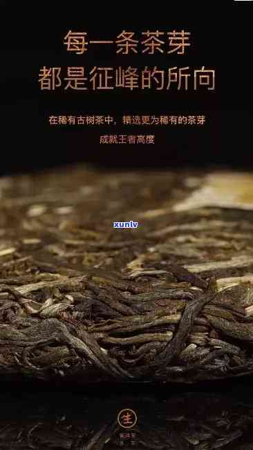 老班章：一部普洱茶的崛起传奇