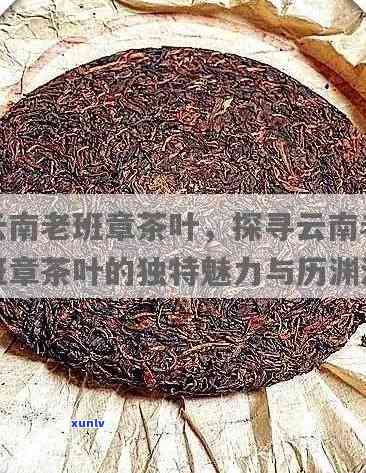 探索中国顶级普洱茶之源：老班章简介