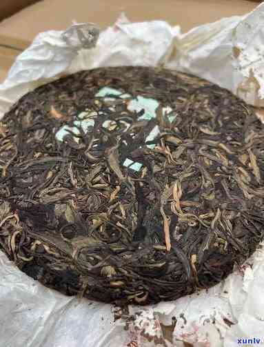 福海老班章古树饼茶11年生产，2013茶饼，2012年老树