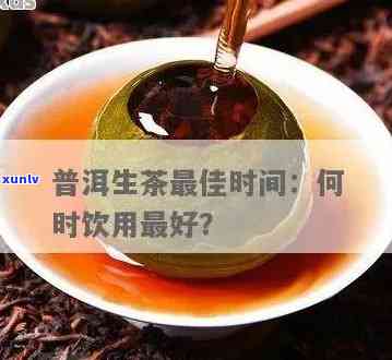 探究普洱生茶的有效期限：品尝时间的秘密