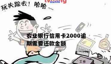 农业信用卡2000元逾期两年，还款总额是多少？