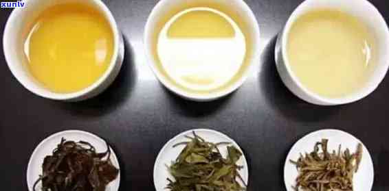 普洱生茶：是白茶还是红茶？揭秘其茶类归属