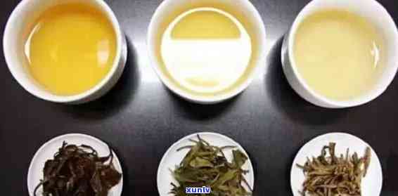 普洱生茶是白茶吗：区分普洱与白茶、红、黄、黑茶的类别