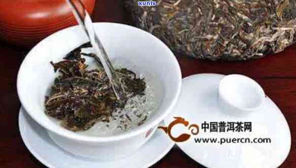 普洱生茶如何泡茶:度与比例讲究