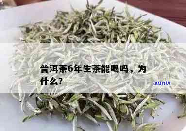 普洱生茶6年能喝吗