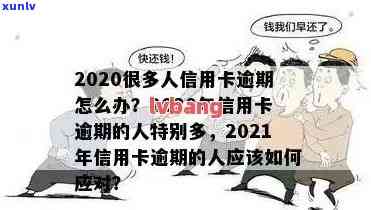 2020年信用卡逾期2万：透视持卡人财务困境与市场风险