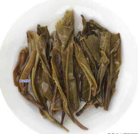 普洱紧压茶与生茶的关联探究：理解这一独特茶类的性质