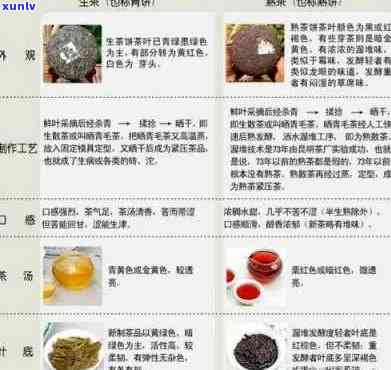 普洱紧压茶生茶喝了有什么作用？功效、喝法与熟茶对比