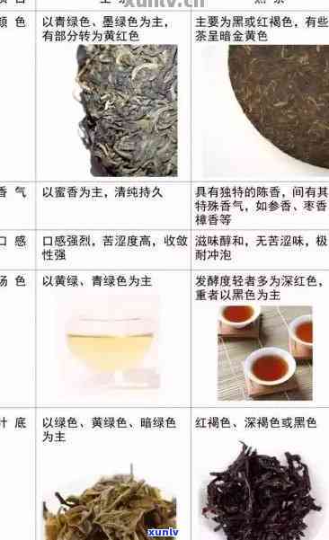 普洱紧压茶生茶喝了有什么作用？功效、喝法与熟茶对比