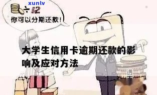 大学生信用卡逾期影响与解决办法