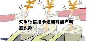 信用卡还款滞后是否会变成信用黑户