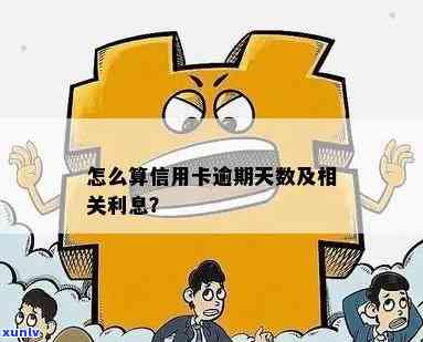 怎么算信用卡逾期天数及逾期利息