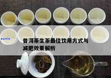 揭秘普洱生茶适量饮用的重要性