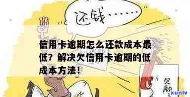 低成本解决信用卡逾期：策略与自救 *** 