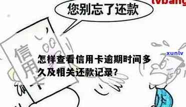 如何查询信用卡逾期记录的具体时间？详解逾期记录查找步骤