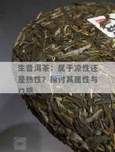 普洱生茶是凉性茶吗