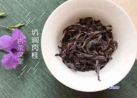 普洱生茶：红茶还是白茶？揭秘其茶类归属