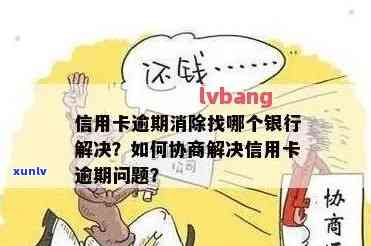 信用卡逾期应对：谁可以帮助协商解决？