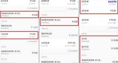 招商信用卡逾期怎么查看记录，招行信用卡欠款信息查询指南