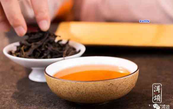 普洱生茶盘点：哪个脱颖而出成为茶友心头好？