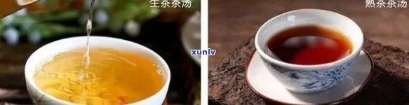 大益普洱生茶怎么泡的好喝？区别于熟茶在哪？