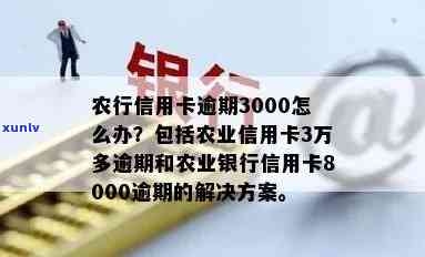 逾期3万！农行信用卡用户的困境与解决方案