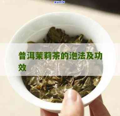 茉莉普洱生茶怎么泡