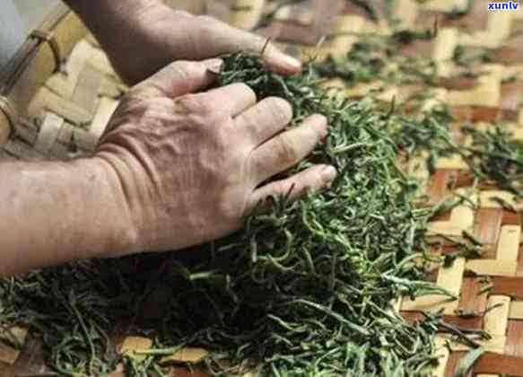 揭秘普洱茶传统杀青技术：独特的制茶工艺