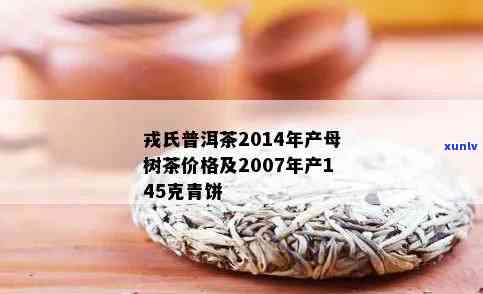 氏普洱茶500克官网价格查询：2014年母树茶多少钱