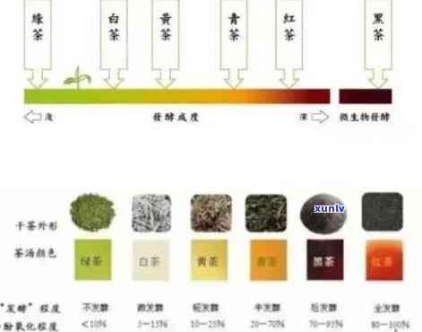 普洱生茶色年份对比：色泽变化与品鉴分析