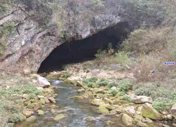 探索青岛马山：自然奇观与生态秘境的完美融合