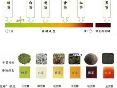 普洱生茶陈年后茶颜色的变化与品鉴