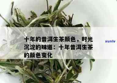 普洱生茶年份久远后的颜色变化解析