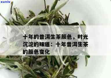 十年普洱生茶：色泽与品质的转变