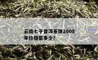 2008年云南普洱七子饼茶价格解析