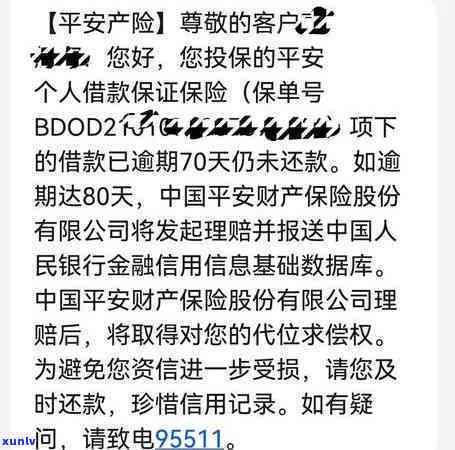 警惕！信用逾期发短信诈骗频发，如何保护个人信息安全？