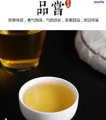 启英普洱茶与启英关系如何：启英亲制普洱茶珍藏品评测