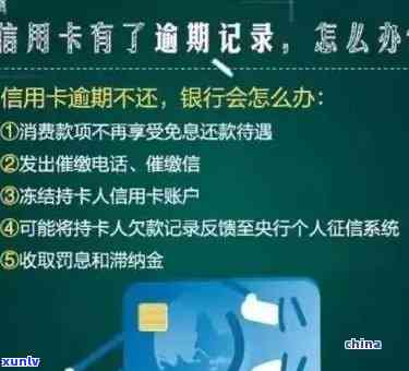 信用卡逾期还款最新消息：逾期咋样还款指南查询